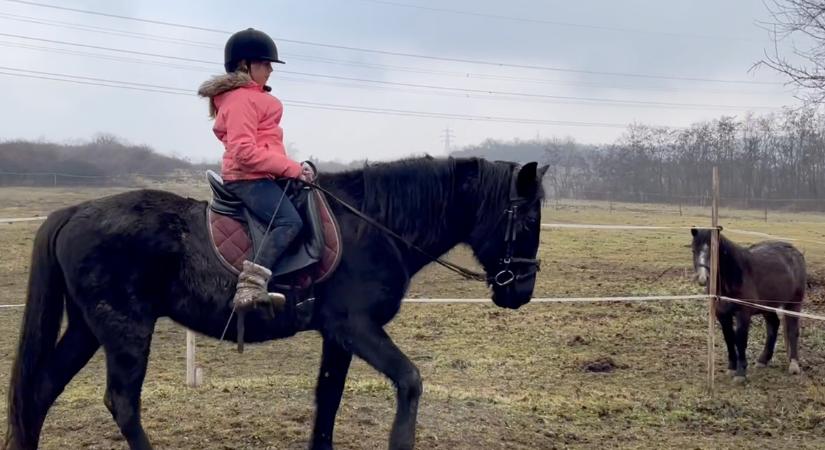 Kolléganőnk megmuatja, hogyan tanítja lovagolni a gyerekeket – Lencsi lovagolni tanul