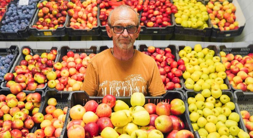 Vásárcsarnok – Töretlen népszerűségnek örvend Győr éléskamrája