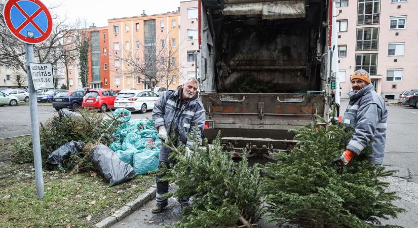 Még sosem volt ilyen, egy nagyobb repülőgép súlyát tette ki egy hulladékfajta mennyisége Szolnokon