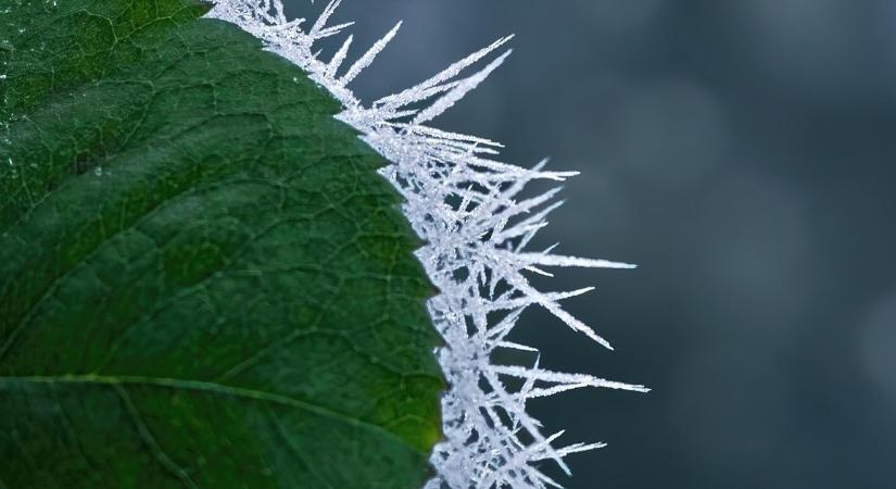 Nyírlúgoson dőlt meg a hidegrekord: mínusz 14,2 Celsius-fokot mértek kedd reggel