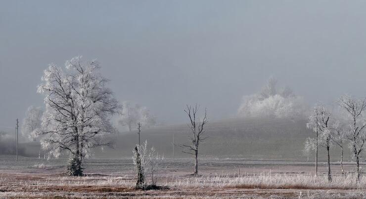 Nyírlugoson mínusz 14,2 Celsius-fok volt február 18-án reggel