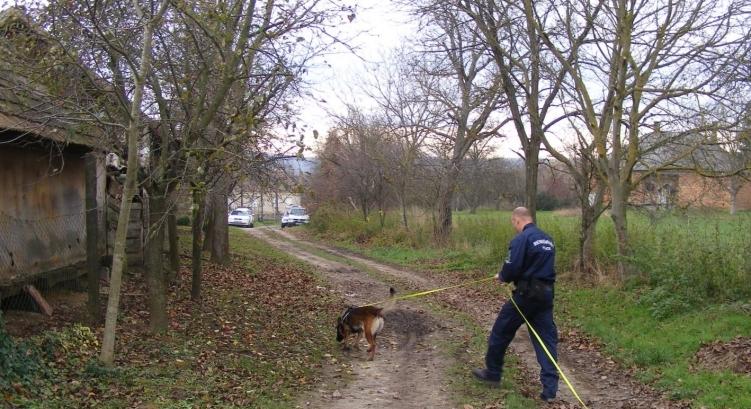 Hetekig keresték szülei a 31 éves nőt Budapesten, majd kiderült, hogy élettársa végzett vele