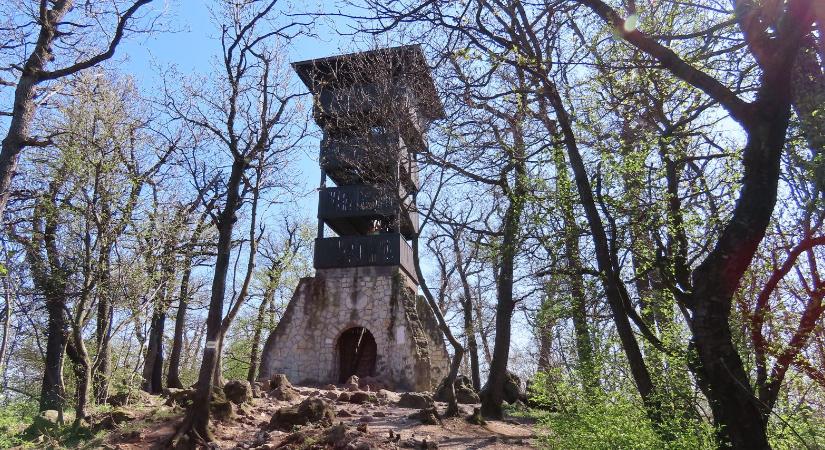 A Budai-hegység legszebb részei igazi családbarát kirándulóhelyek