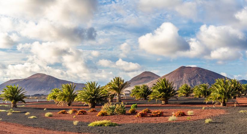 Miért éppen Lanzarote?