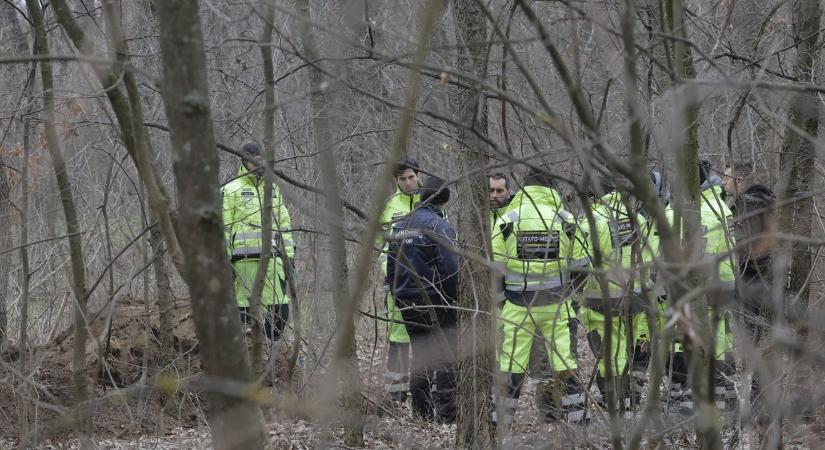 Király utcai gyilkosság: kedvencek temetőjébe ásták el az egy éve eltűntként keresett Eszter holttestét