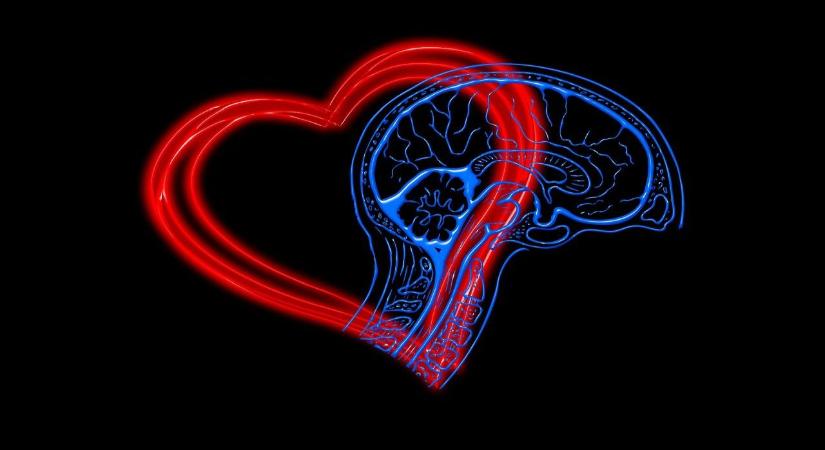 Így válaszolnak bántó megjegyzésekre a legfejlettebb érzelmi intelligenciájú emberek