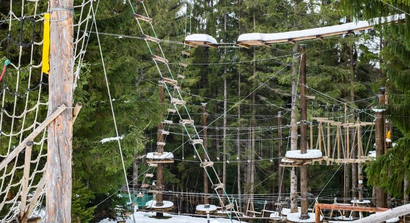 Most jött a hír: börtönre ítélték a vasi kalandpark üzemeltetőjét egy gimnazista halála miatt