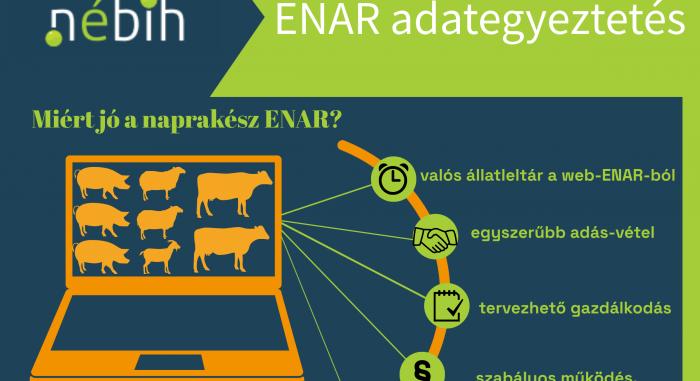 Felhívás ENAR adategyeztetésre szarvasmarha-, juh- és kecske-, valamint sertéstartók számára