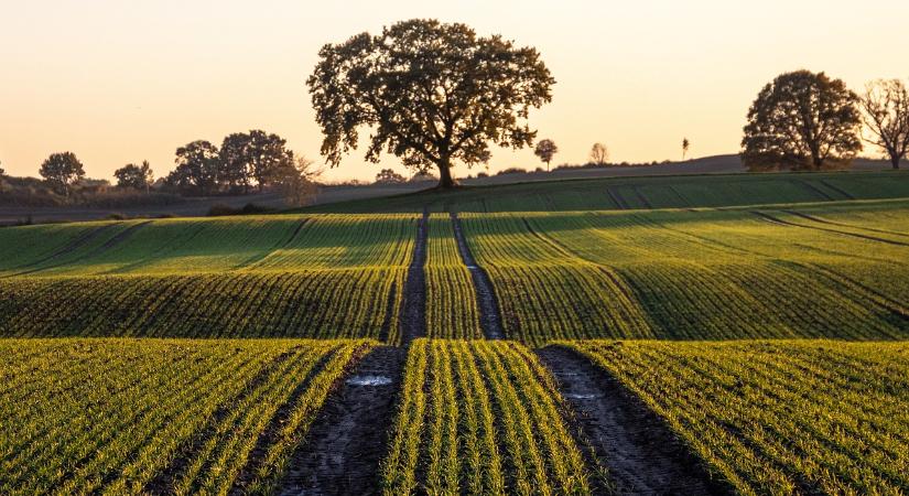 Az Európai Regeneratív Mezőgazdasági Szövetség (EARA) nagyszabású kezdeményezése az EU agráriumának megreformálásáért