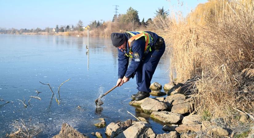 Fejszével törték be a Holt-Tisza jegét a rendőrök, ezt találták a fagyott vízben – galériával, videóval