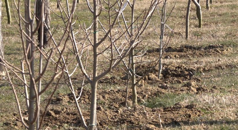 Betört a sarkvidéki hideg levegő, de Zalában nem okozott problémát