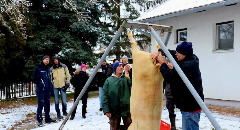 Az egész falu jól lakott a kis település tradicionális disznóvágásán (képgalériával)