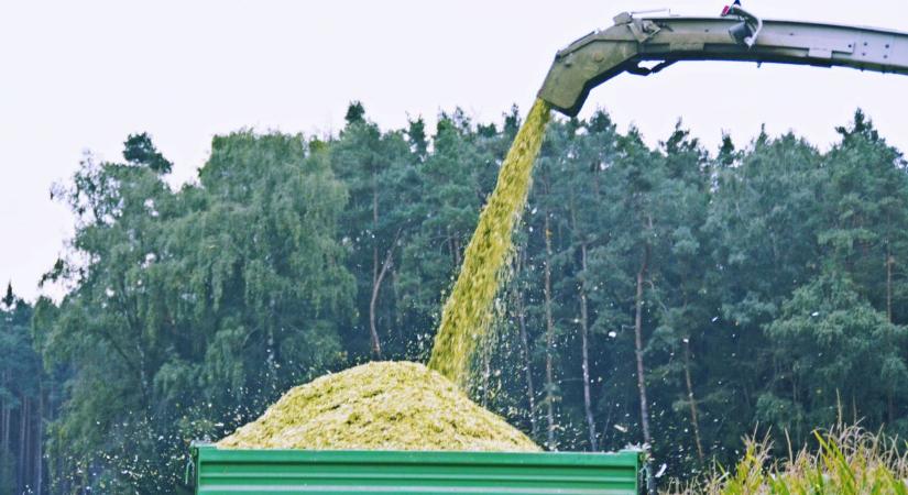 A erületealsapú agrártámogatásokat támadja Brüsszel