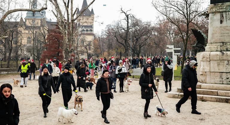 Február utolsó hétvégéjét sem kell otthon töltenünk