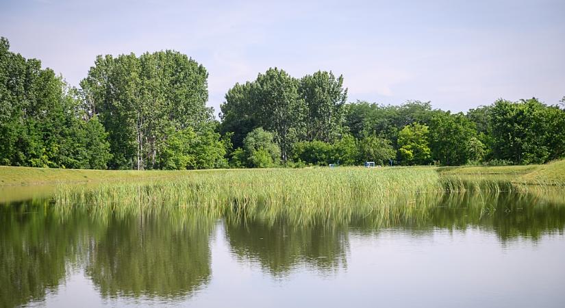 Civaqua munkacsoport alakult Debrecenben