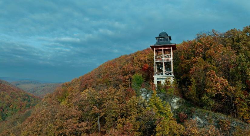 Kvíz: az átlag magyar a 3. kérdésig bírja hibátlanul, ott megszakad minden