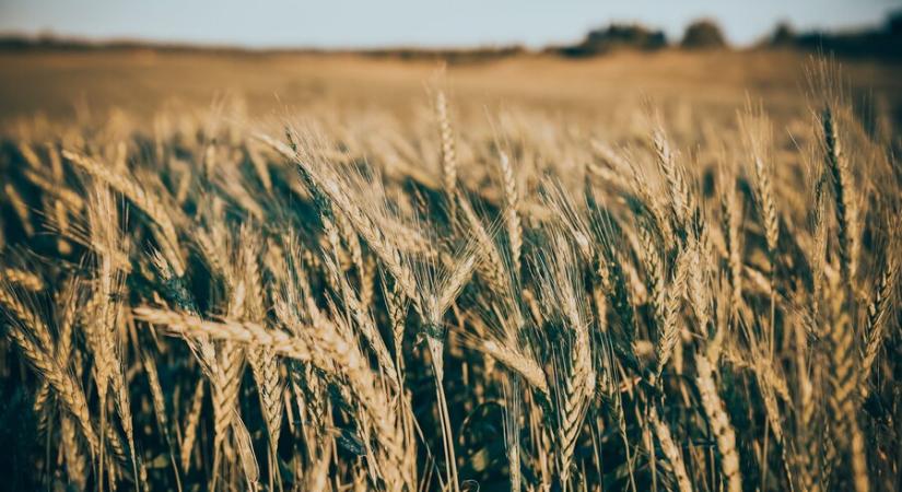 Ismét jelentős összeghez jutottak a gazdálkodók