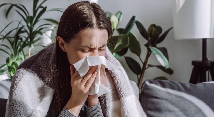 Influenza: egy hét alatt több mint 82 ezer beteg fordult orvoshoz