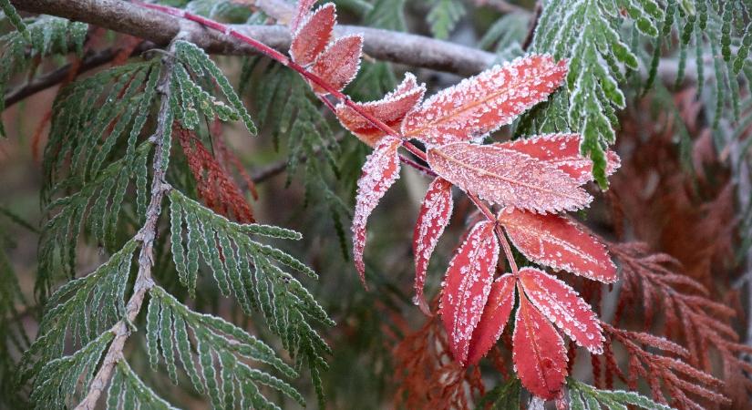 Február nem viccel – pénteken is fagyba burkolózott az ország