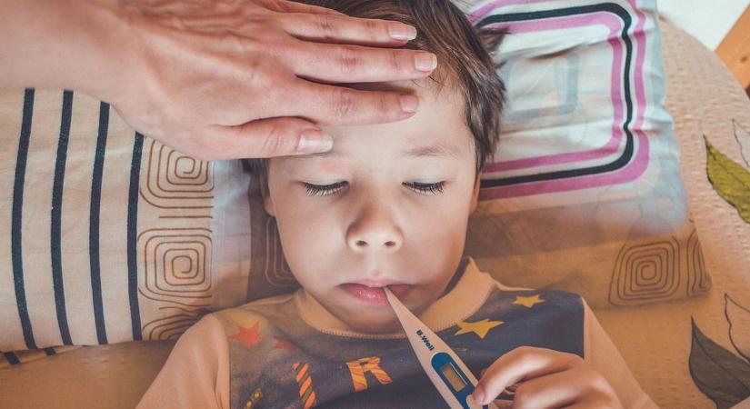 Influenza: a B vírus tombol, Zala a legkevésbé rossz helyzetben