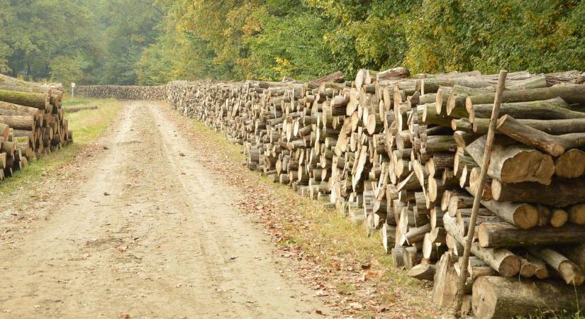 Befejeződött a szociális tűzifaprogram Hajdú-Bihar vármegyében