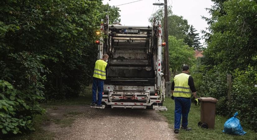 A MOHU panaszkodott a lakókra, mert a növényzet megkarcolja a kukásautót