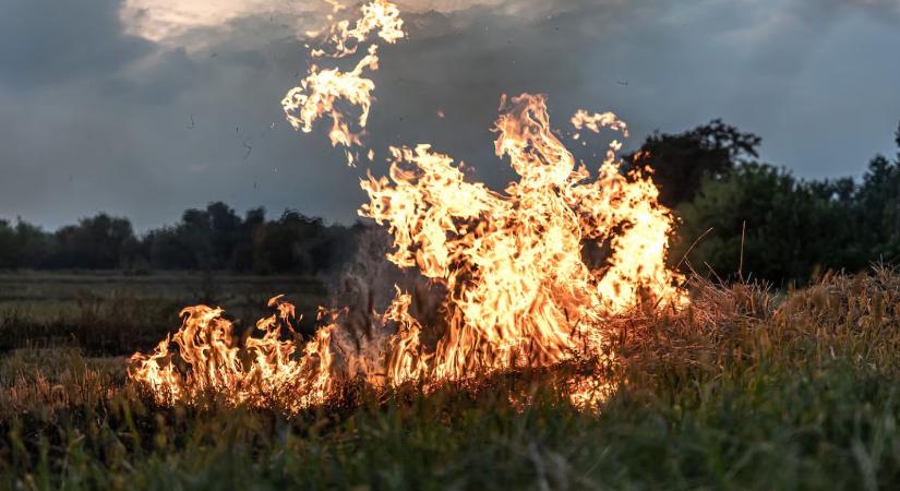 Több tucat bála kapott lángra Tiszakarádnál