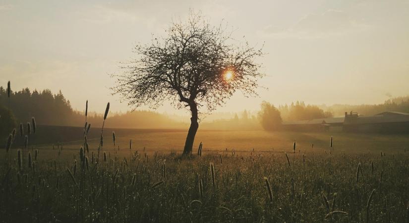 Változékony idő várható derült reggel, délutáni felhősödéssel