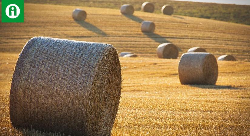 Ezt követeli az agrárkamara és a MAGOSZ a gazdáknak!