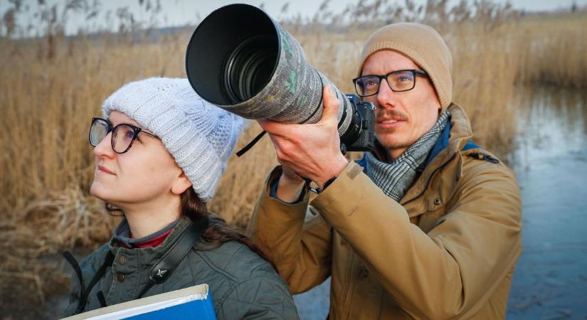 A vasi madárfotós pár, akikért a National Geographic is rajong - csodálatos képekkel!