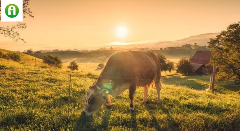 Nagy lehetőségek, új pályázatok, piaci trendek az agráriumban