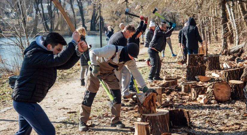 Közösségi tűzifaaprítással segítettek a II. kerületi rászorulóknak