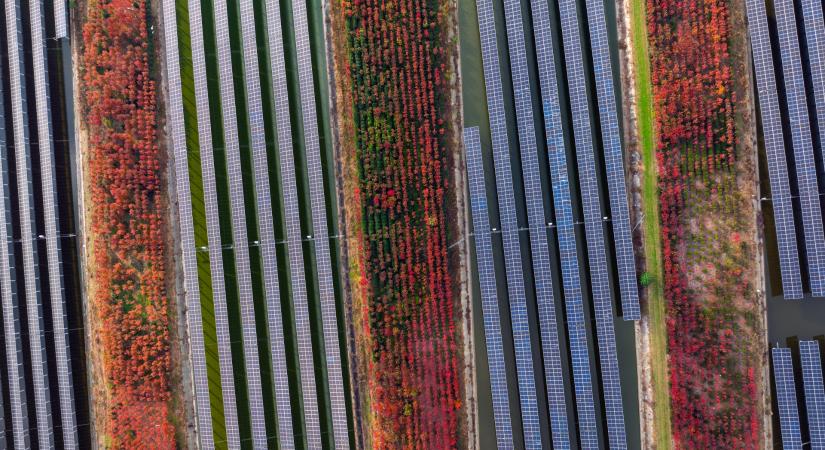 Nem a pénzhiány a gond a magyar energiaiparban: lenne befektető, de nincs lehetőség – Szakértők a klímatervről