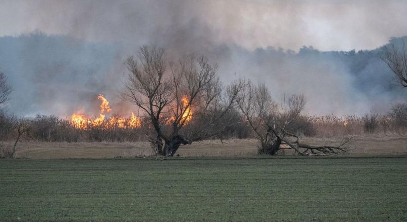 Több hektáron voltak tüzek vármegyénkben a hétvégén