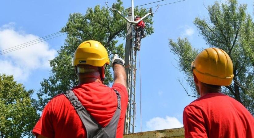 Gólyákat és más madarakat segít a szolgáltató, ez a város madárparadicsom lesz (képgalériával)