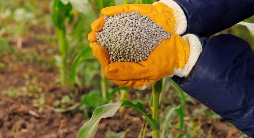 Egy kockázattal kevesebb – Megújult a közkedvelt starter műtrágya, a Corn Starter Pro