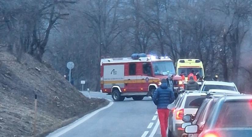 TRAGÉDIA: Fák közé csapódott egy autó, a sofőr szörnyethalt