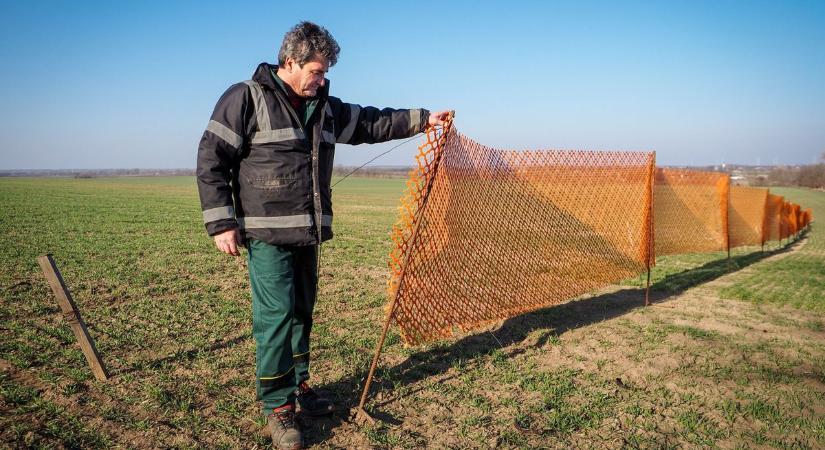 Egyre kevesebb a hó térségünkben, aszály sújtja a termőföldeket