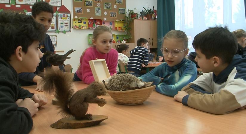 Játékosan kerültek közelebb a természethez a Lillai Téri Általános iskola diákjai