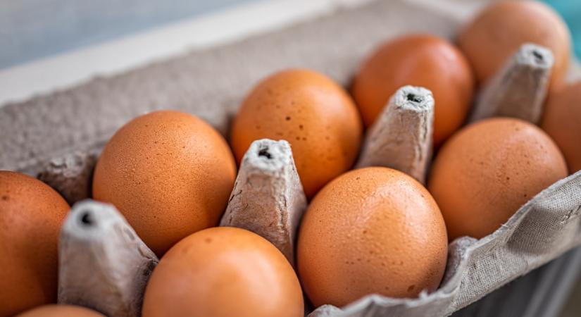 Akkora a tojáshiány ebben a térségben, hogy már a törököktől kell behozni