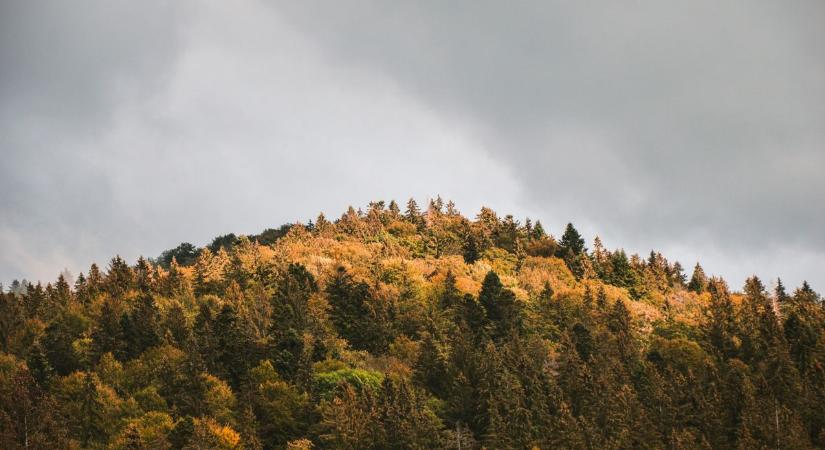 Még jöhet egy kis hó, de dörömböl az ajtón a tavasz