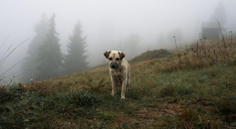 Akár 14 fok is lehet kedden, csak néhol marad borongós az idő