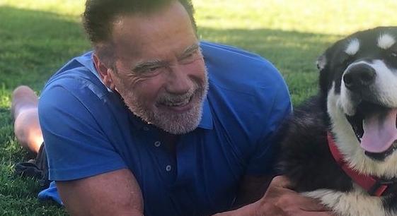 Arnold Schwarzenegger egy nap alatt kimaxolta a 2021-es évet