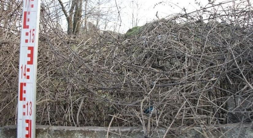 Biztos zsákmányra ment a 22 és 28 éves tolvaj