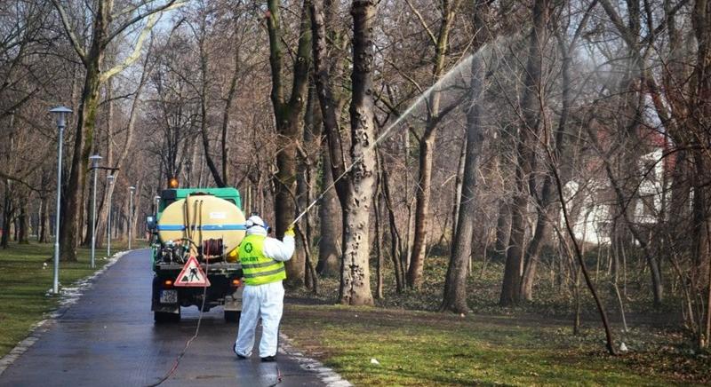 Márciusban megkezdődik a kerületi fasorok permetezése