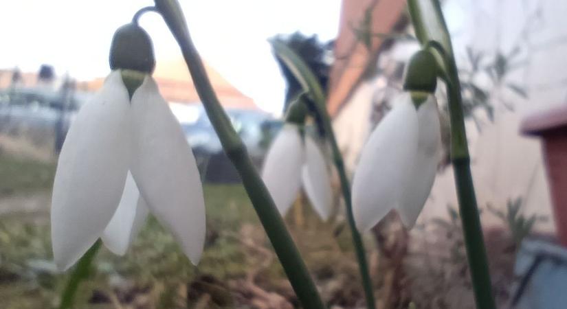 Ráfordulunk a tavaszra? Mutatjuk milyen időjárás jön!