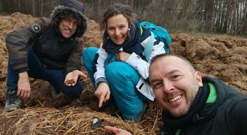 Szenzációs felfedezésről számoltak be a hajdúsági csillagászok, istállótrágya tetején lapult a „kincs” – videóval