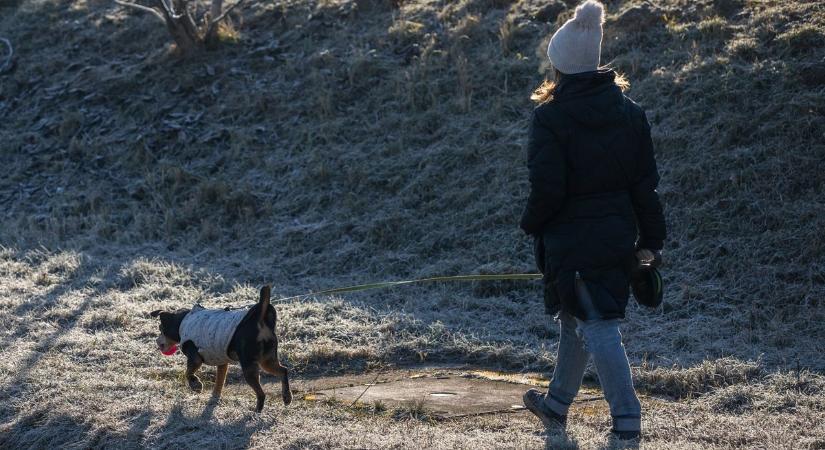 Kopogtat a tavasz? Felhős, de kellemes időnk lesz