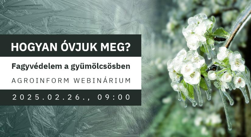 Hogyan óvjuk meg? – Fagyvédelem a gyümölcsösben Agroinform webinárium