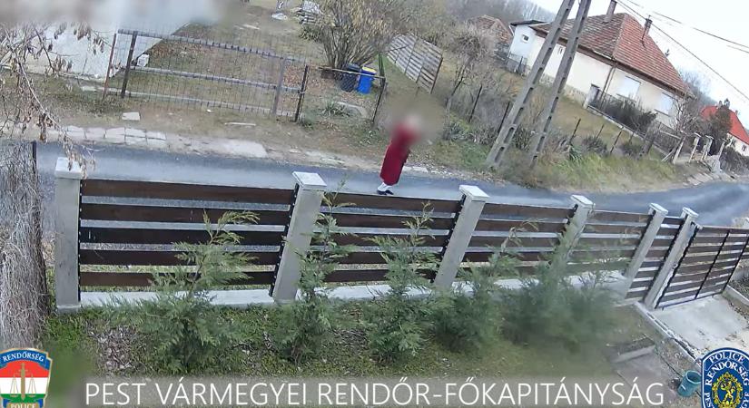 Köntösben lövöldözött az utca közepén a macskákra egy idős férfi Sülysápon - videó